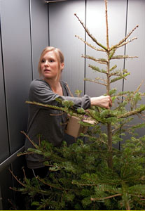 Lindenstraße: Der Baum nadelt: Tanja (Sybille Waury) zieht mit Sack und Pack und gebrauchtem Weihnachtsbaum um.
